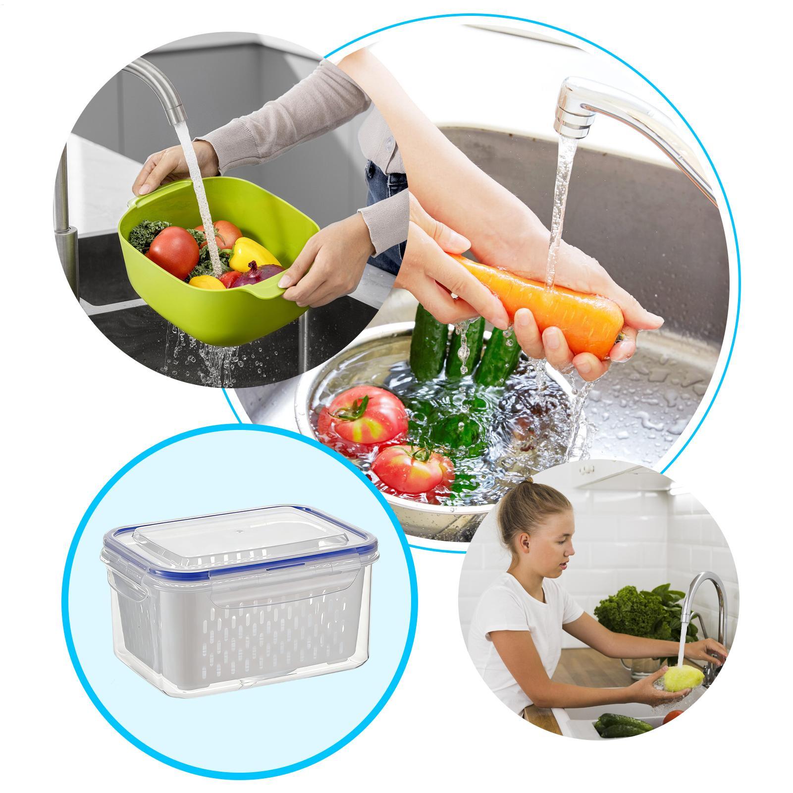 4 In 1 Food Storage Container  - Food Storage Plastic Container review and price