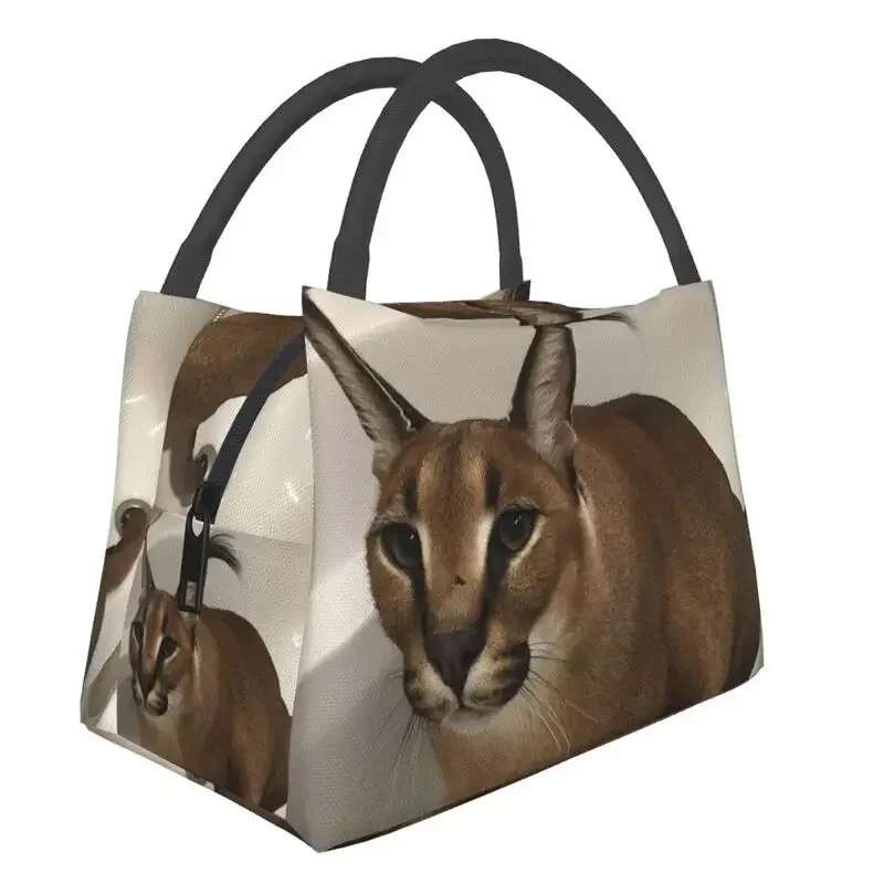 Floppa Cute Meme Thermal Insul - Food Storage Bag review and price