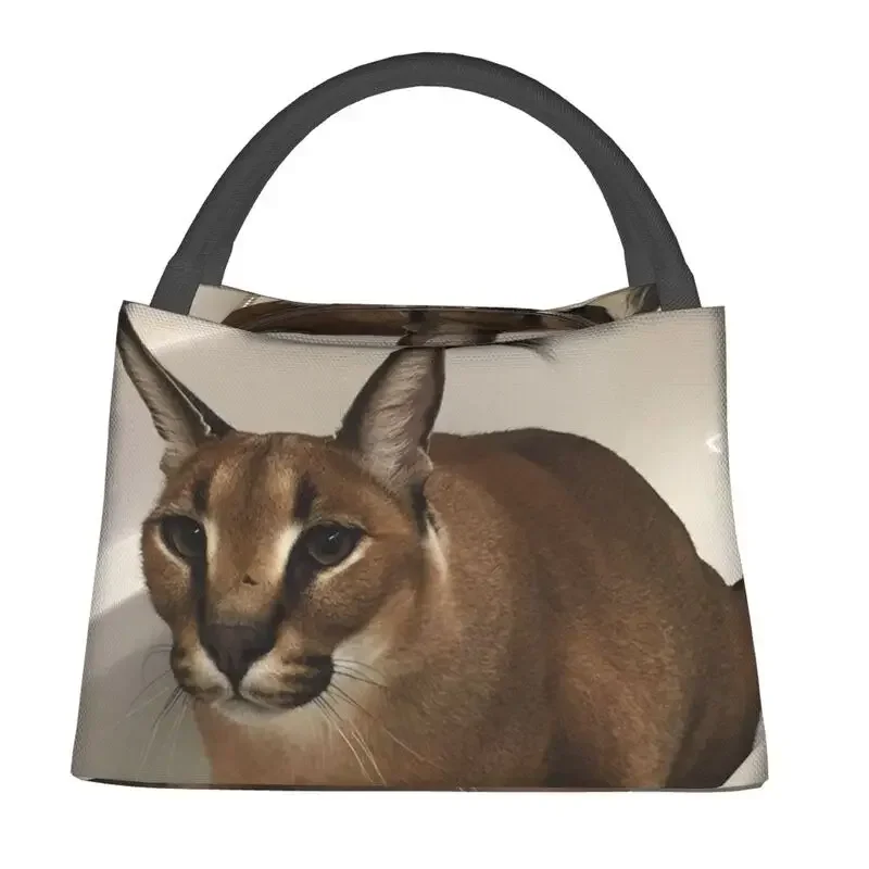 Floppa Cute Meme Thermal Insul - Food Storage Bag review and price