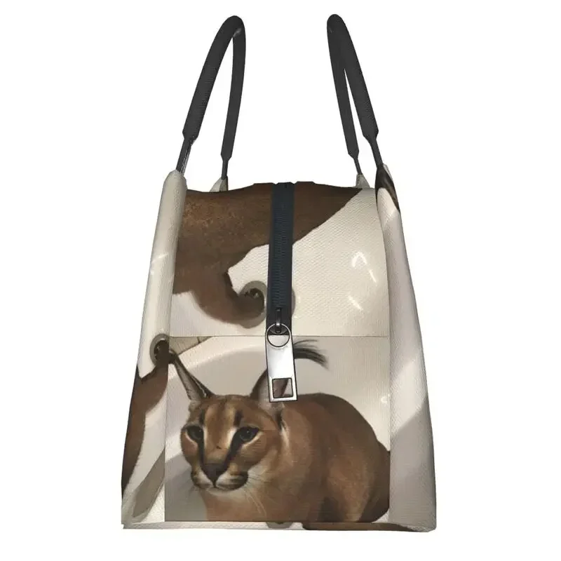 Floppa Cute Meme Thermal Insul - Food Storage Bag review and price