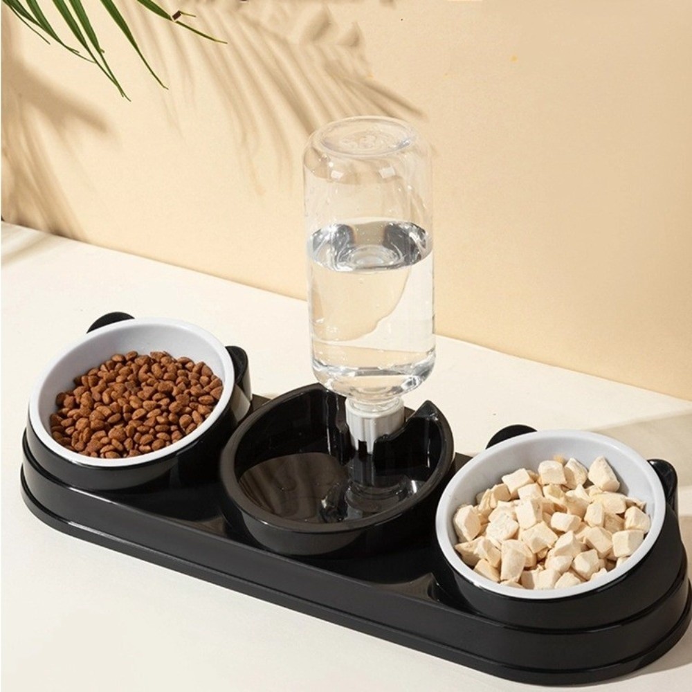Pet Supplies 15 Degrees Raised - Portion Control Container review and price