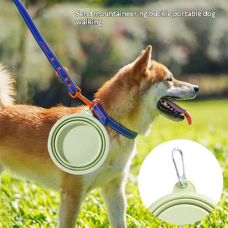 Silicone Dog Food Water Bowl C - Portion Control Container review and price