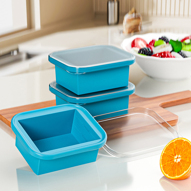 Silicone Freezing Tray With Pl - Food Storage Not Plastic review and price