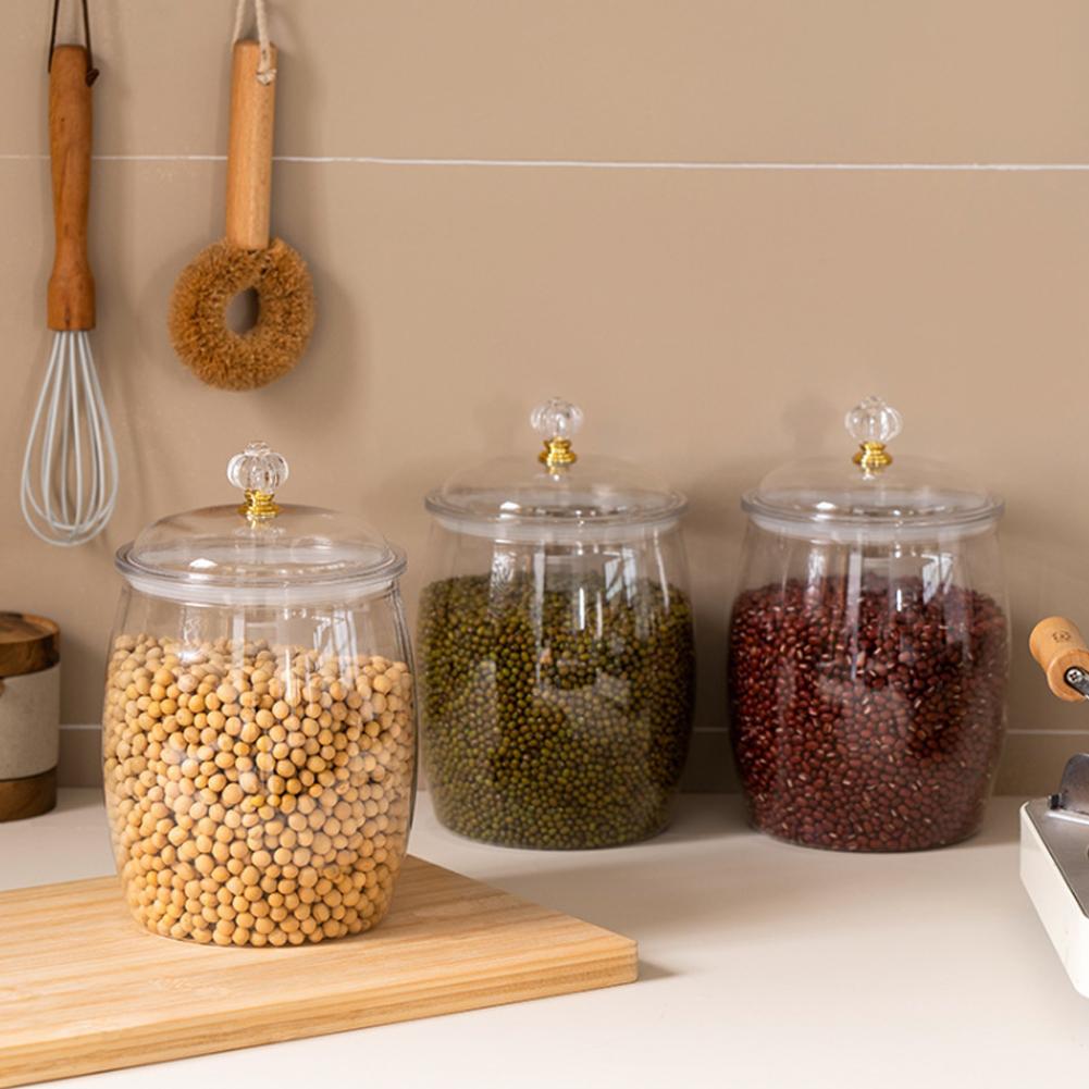 Large Transparent Plastic Seal - Food Storage Plastic Container review and price