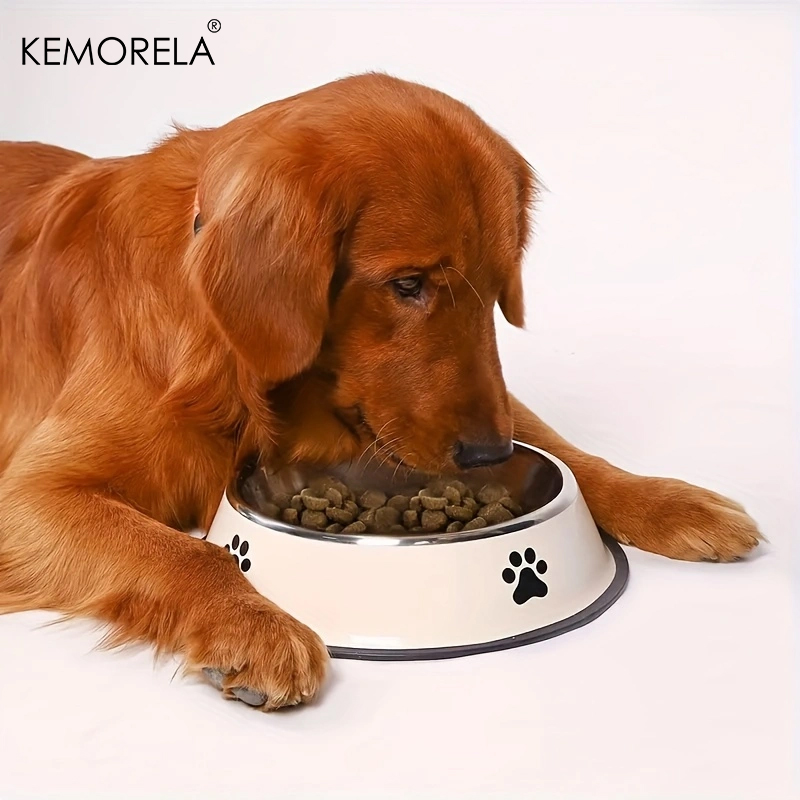 Stainless Steel Pet Dog Bowl F - Dog Food Storage Xl review and price