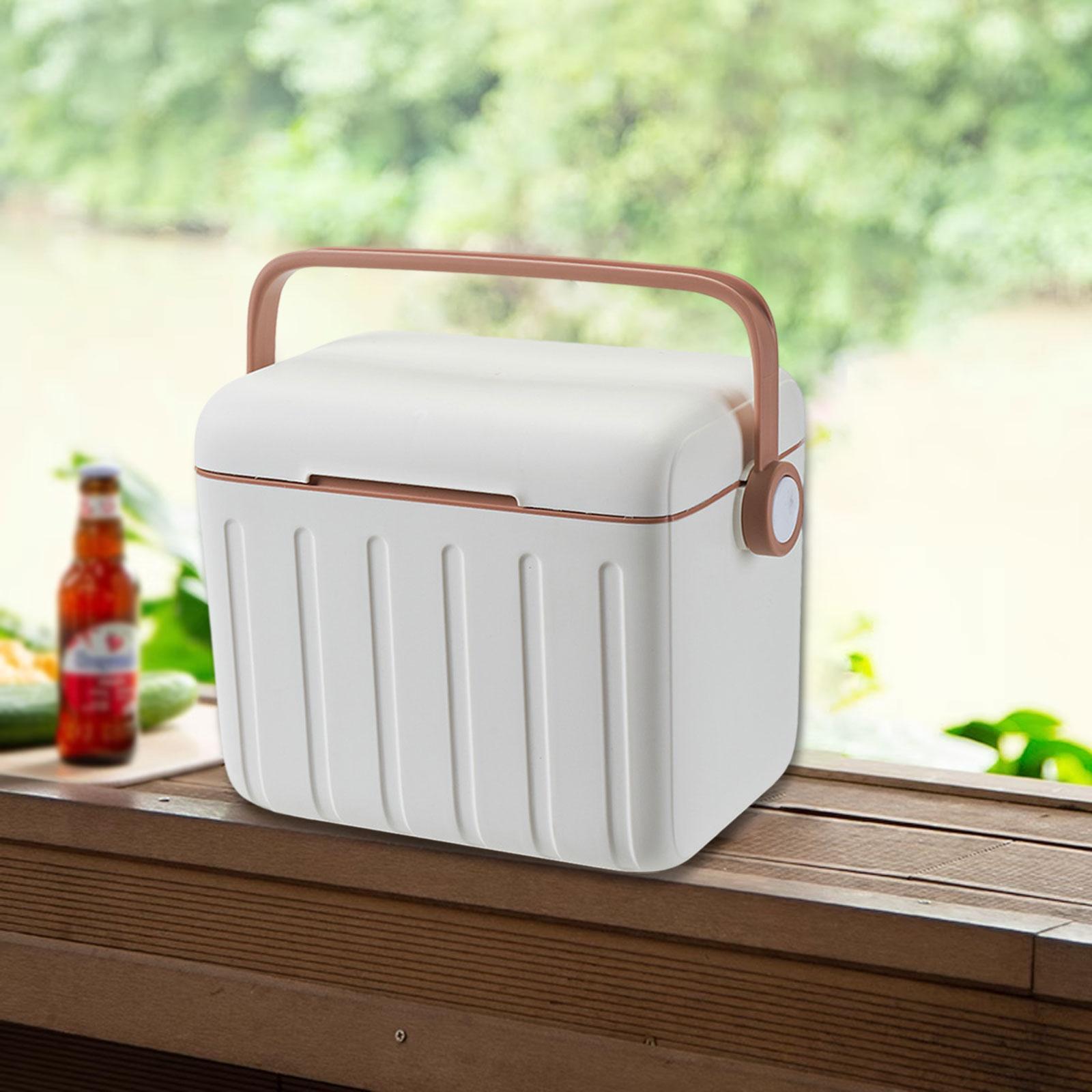 Cooler Box Carrier 6L with Han - Food Storage In Cooler review and price