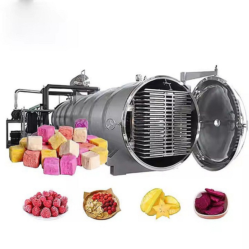 CE Certified Vegetable Dairy I - Food Storage For Long Term review and price