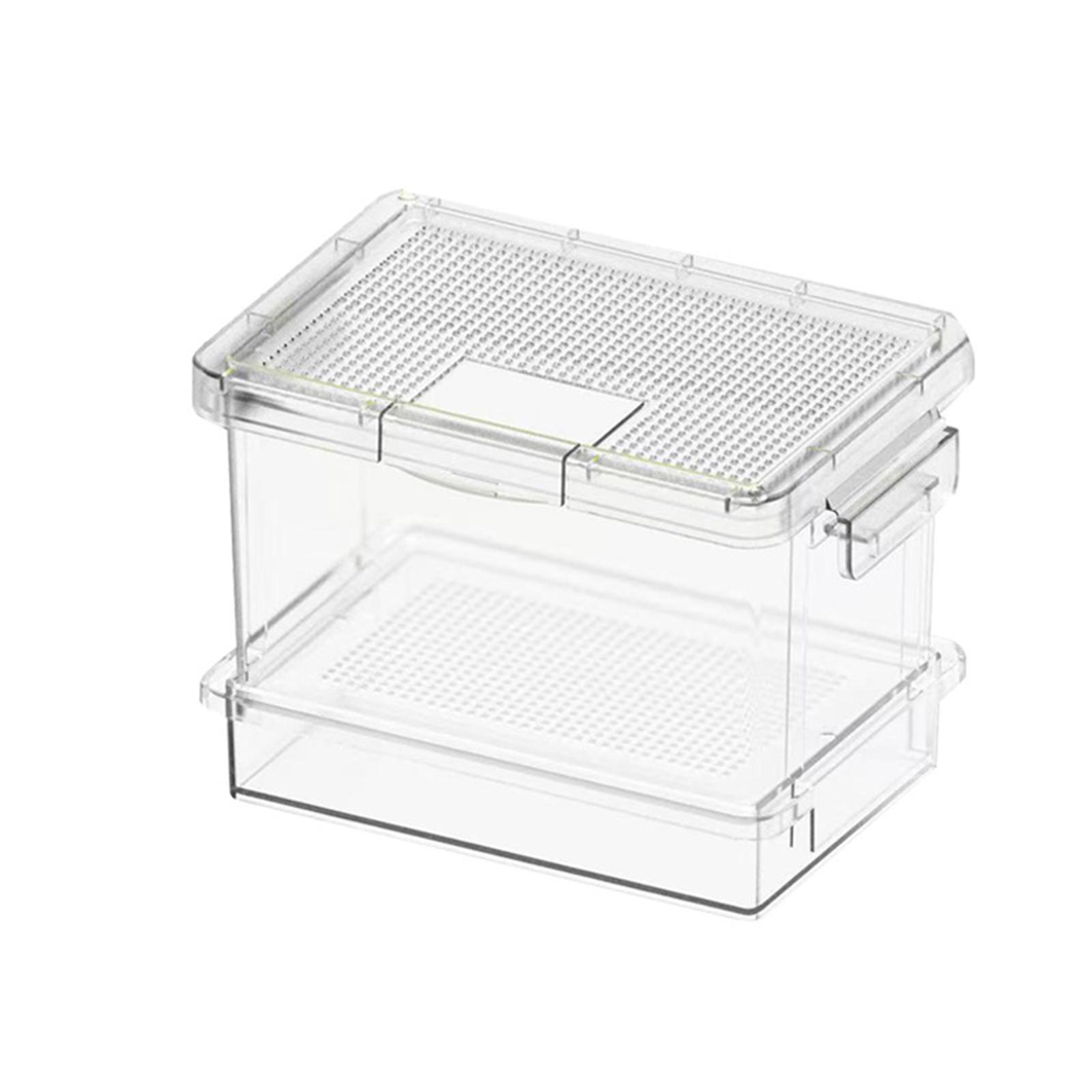 Plastic Turtle Feeder Reptile  - Food Storage Boxes review and price