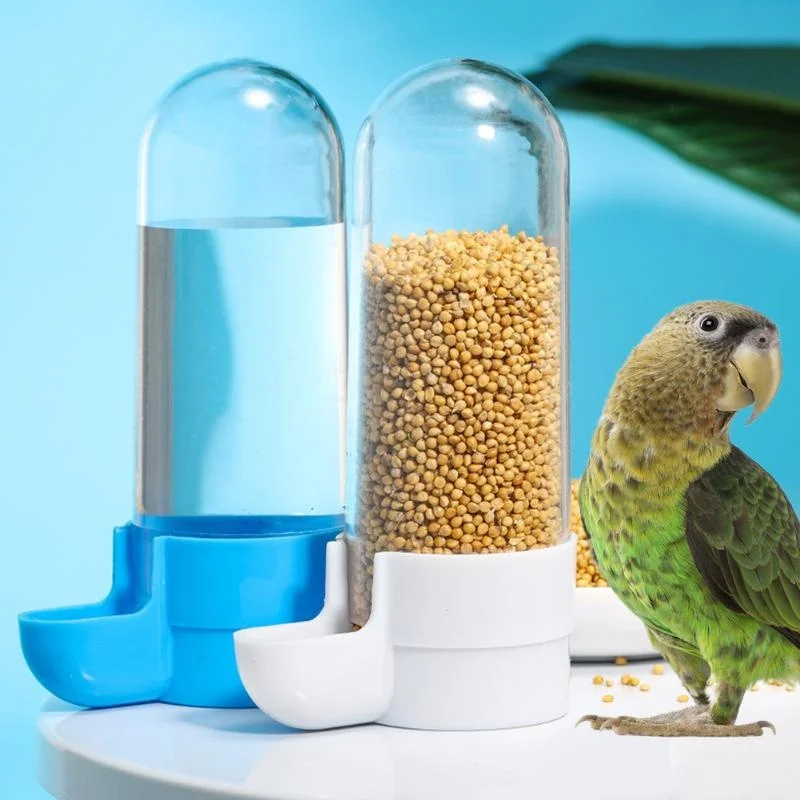 Hanging Pet Feeder Squirrel Pa - Portion Control Container review and price